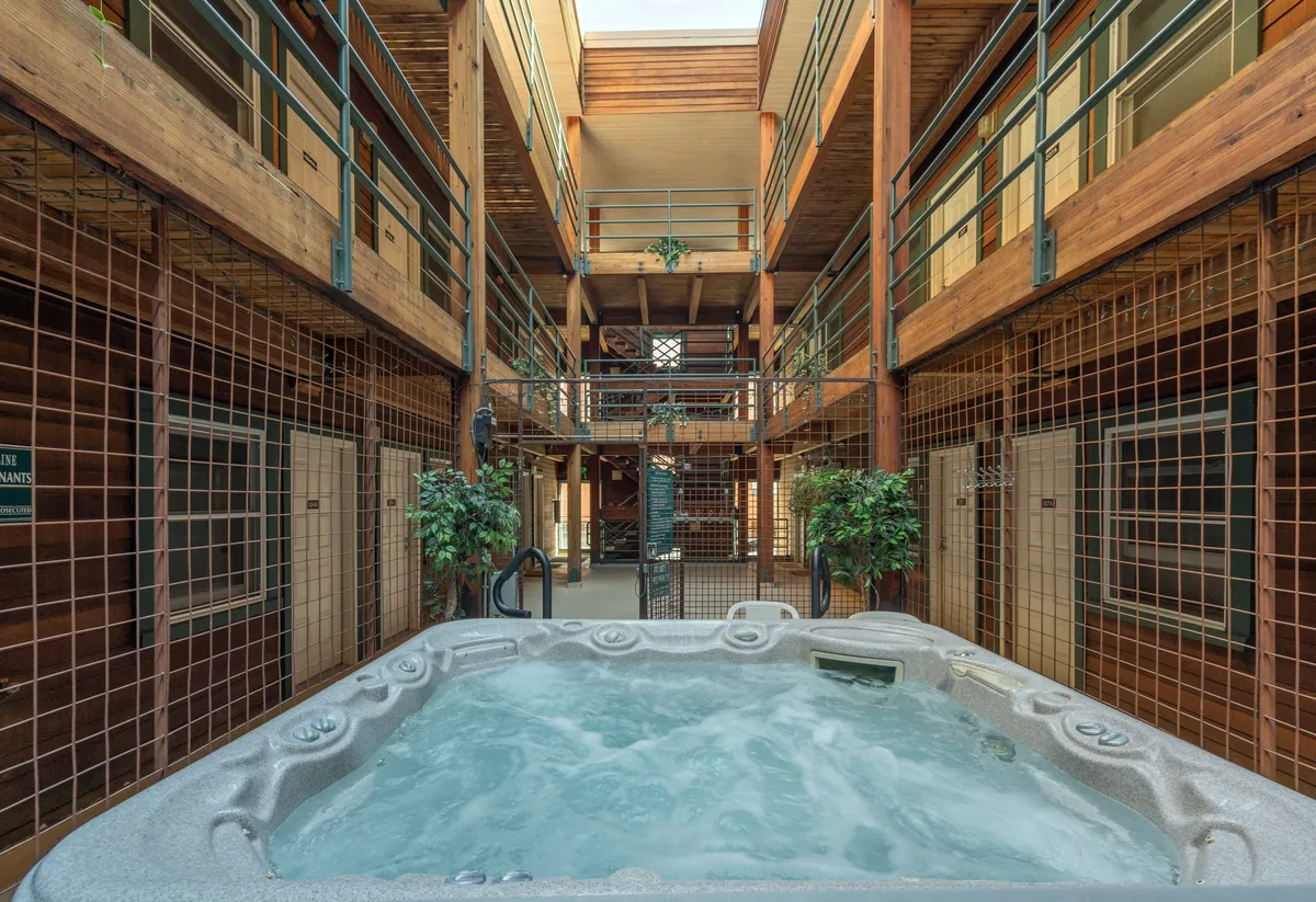 This image features a communal jacuzzi nestled among greenery with surrounding wooden structures, creating a cozy and inviting atmosphere. It visually represents the relaxation and social opportunities of a resort-style amenity within the property.